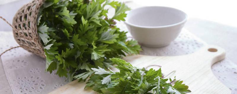 艾蒿能吃么 艾蒿艾草一样吗