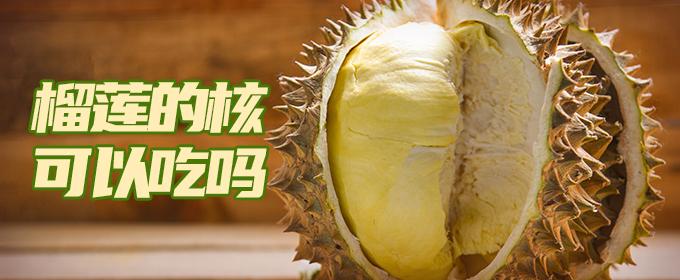 榴莲的核可以吃吗 榴莲的核可以煲汤吗
