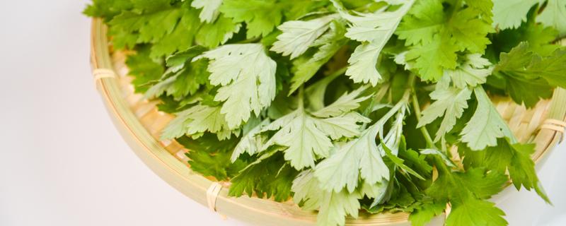 野艾蒿和艾草怎样分别 新鲜野艾蒿怎么吃