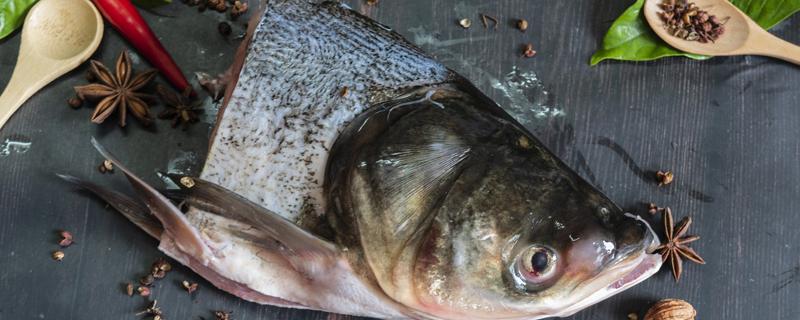鱼头豆腐汤买什么鱼头 鱼头豆腐汤怎么熬才白