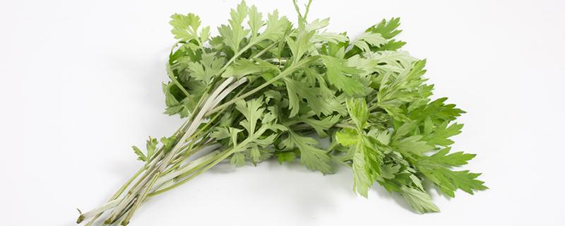 经期能用艾草泡脚吗 经期艾草泡脚的注意事项