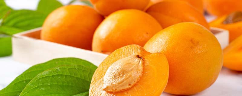 杏子可以做成罐头吗 杏子怎么做罐头