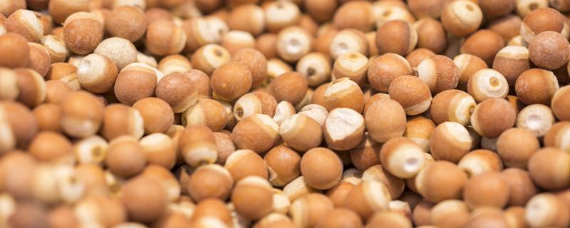 芡实大粒好还是小粒好 芡实整个好还是半个好