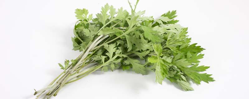 艾叶煮鸡蛋滚脸有什么好处 婴儿用艾叶煮鸡蛋滚脸好吗