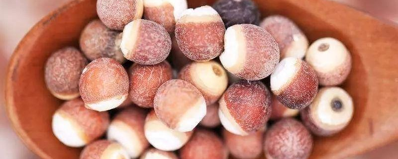 芡实煮粥前要泡吗 芡实可以泡一夜吗