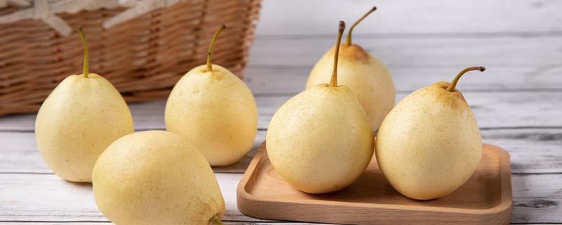 晚上吃梨有什么好处和坏处 睡前吃一个梨会发胖吗