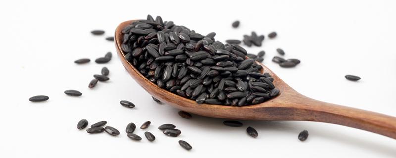 薏仁和大米哪个热量高 减肥可以吃薏仁吗