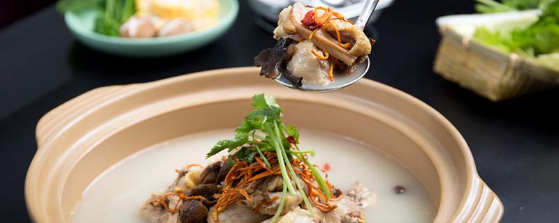 老鸽子与什么东西一起炖比较好 鸽子汤禁忌放什么