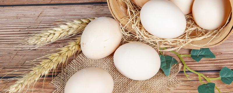 电热水壶煮鸡蛋要多久 为啥电热水壶煮不熟鸡蛋