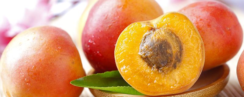 杏吃多了会怎么样 吃杏会胖吗