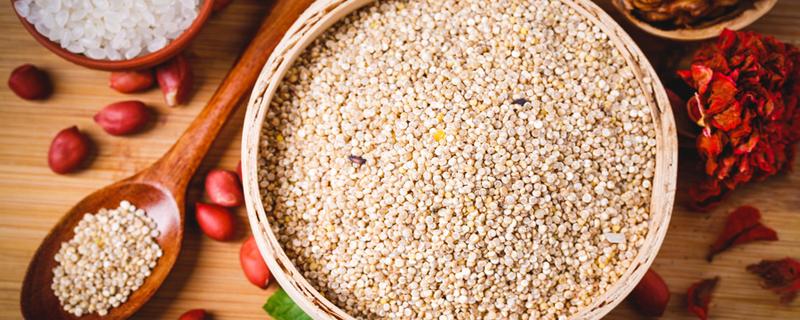 藜麦含有麸质吗 为什么会麸质过敏