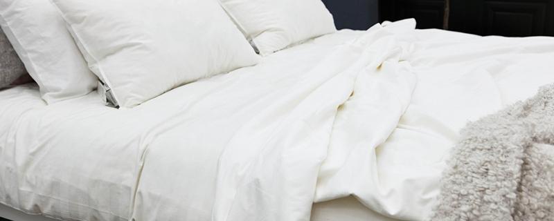 艾草枕头好还是荞麦枕头好 睡艾叶枕头眼睛会肿吗