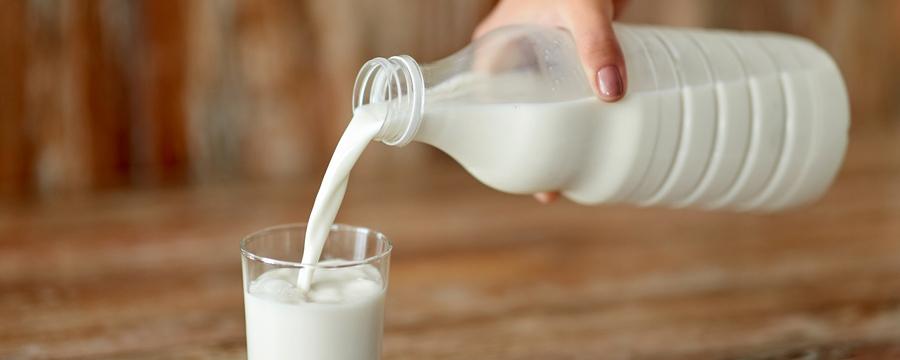 纯牛奶和生牛乳哪个更好 生牛乳可以直接喝吗