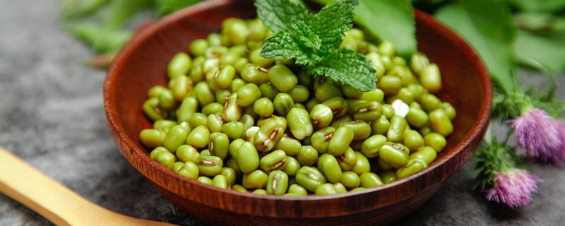 绿豆汤属于凉性吗 绿豆汤晚上吃好早餐吃的好呢