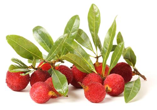 杨梅长霉点了还能吃吗 发霉的杨梅吃了会怎么样