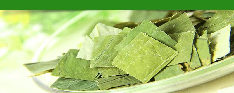 荷叶泡水能长期喝吗有没有副作用 荷叶泡水用新鲜的好还是干的好