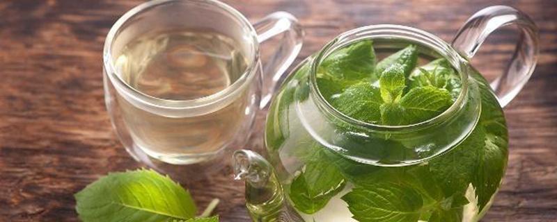 薄荷泡水喝的禁忌 薄荷叶泡水能减肥吗