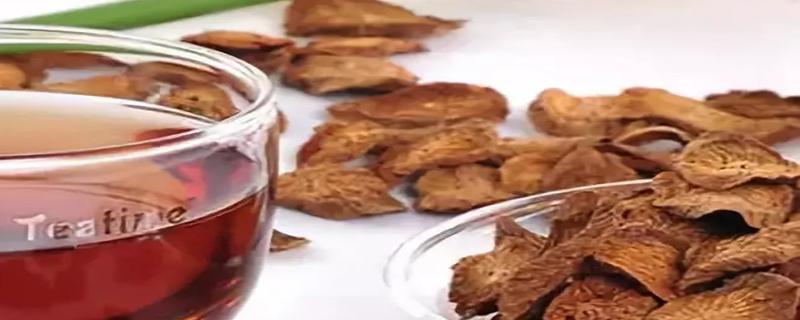牛蒡茶的正确喝法 牛蒡茶不适合什么人喝