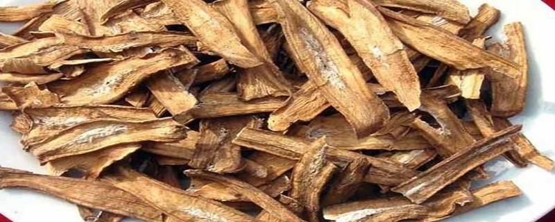 牛蒡根和什么泡养肝 牛蒡根长期喝有副作用吗