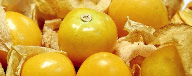 姑娘果的热量 姑娘果减肥期间可以吃吗