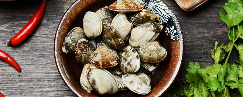 蛤蜊和花甲一样吗 蛤蜊和花甲哪个贵