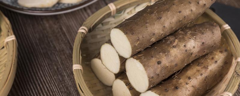 每天吃铁棍淮山好不好 女性吃山药有什么好处