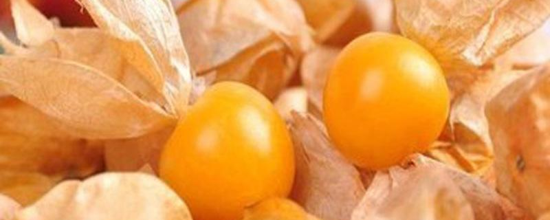 姑娘果能放多久 姑娘果能放冰箱里吗