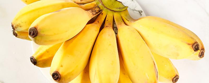 米蕉吃多了会怎样 小米蕉每天吃几个好