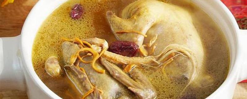 怎样做鸽子汤补血补气 鸽子汤能促进伤口愈合吗