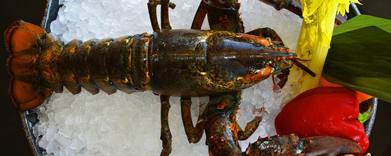 龙虾蒸熟放冰箱能吃吗 龙虾熟的第二天还能吃吗