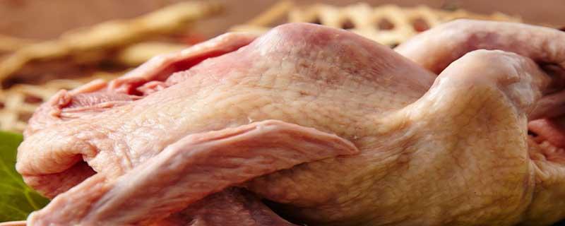 术后吃鸽子会造成疤痕增生吗 术后吃鸽子有什么好处