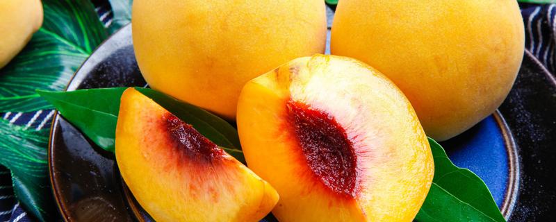 黄桃和杏子长得一样吗 黄桃肉为什么有些是红色的