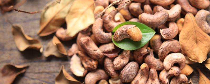 带皮腰果和不带皮差别 为什么带皮腰果更贵