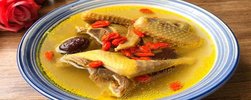 鸽子和老母鸡可以一起炖吗 鸽子和老母鸡哪个更有营养价值