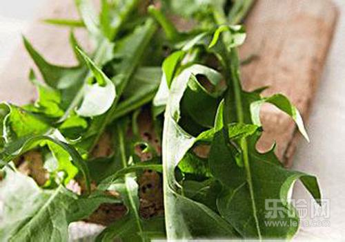 鱼腥草和蒲公英能一起泡水喝吗