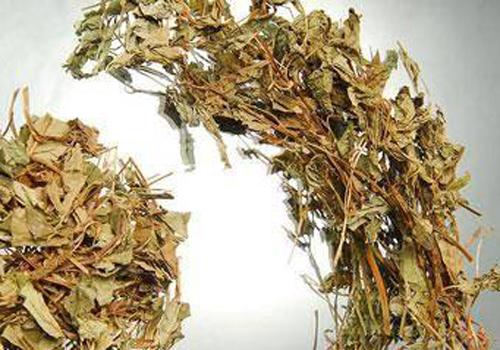 鱼腥草和甘草能一起泡水喝吗 鱼腥草甘草水的作用