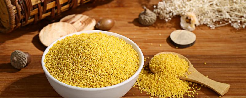 小米泡一晚上再煮有毒吗 吃小米要注意什么