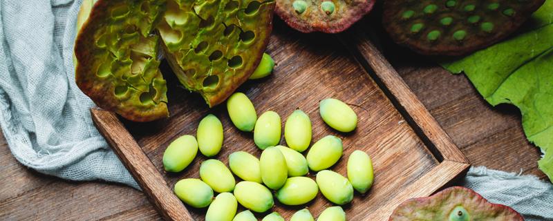 莲蓬吃了会发胖吗 莲蓬吃多了会怎么样