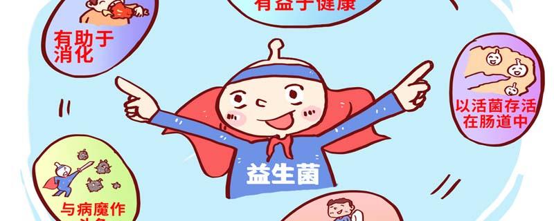 益生菌可以减肥吗 益生菌减肥什么时间吃最好