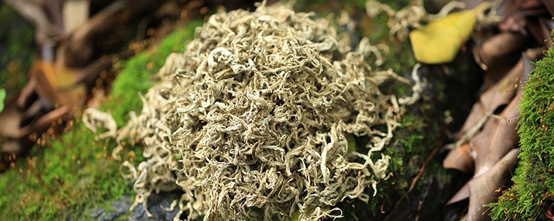 艾水洗头要不要再用清水洗 用艾草水洗头能去头皮屑吗