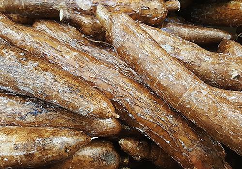 患痤疮能吃葛根粉吗 患了痤疮怎么治疗