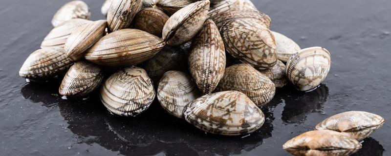 花蛤泡了一天死了还能吃吗 花蛤泡多久会开口