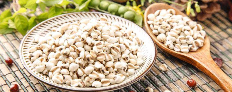 薏米和什么一起煮去湿气最好 薏米寒性怎么去掉