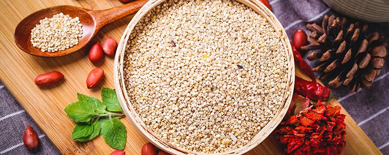 藜麦的正确吃法需要提前泡吗 藜麦泡多久才能煮饭