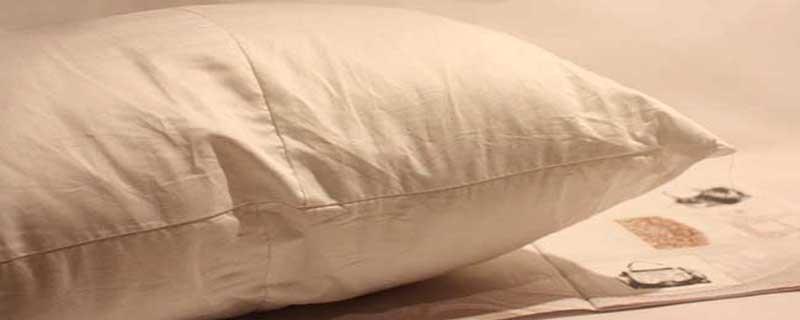 跳蚤会长期藏在床上吗 跳蚤咬人后怎么处理