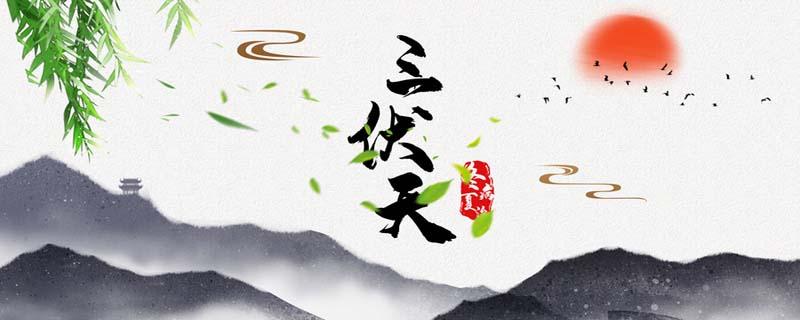 三伏天后背晒太阳的好处 三伏天晒背是每天都晒吗