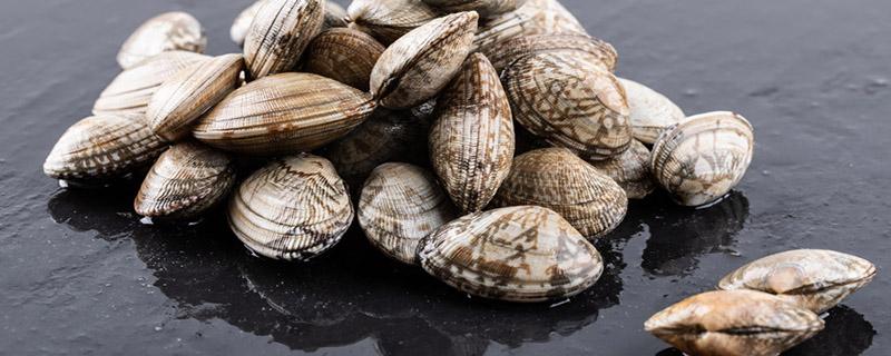 吃花蛤的好处和坏处 花蛤死了还能吃吗