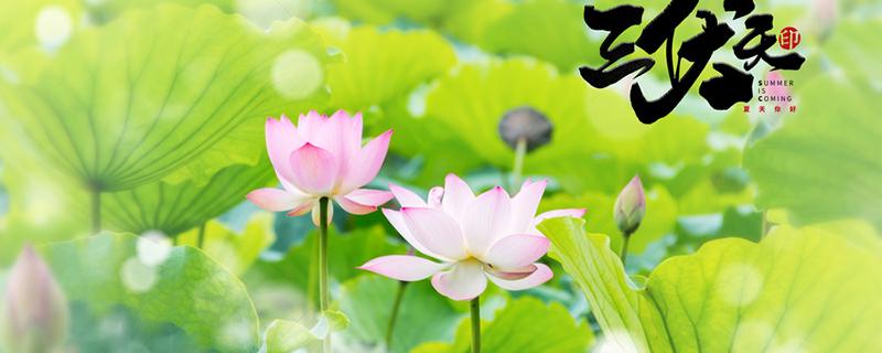 三伏天13点趴在地上晒背好吗 三伏天晒背真的管用吗