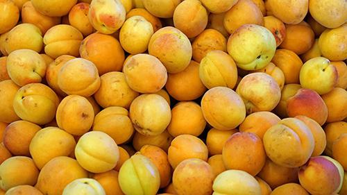 黄桃是热性还是凉性 黄桃吃了会上火吗