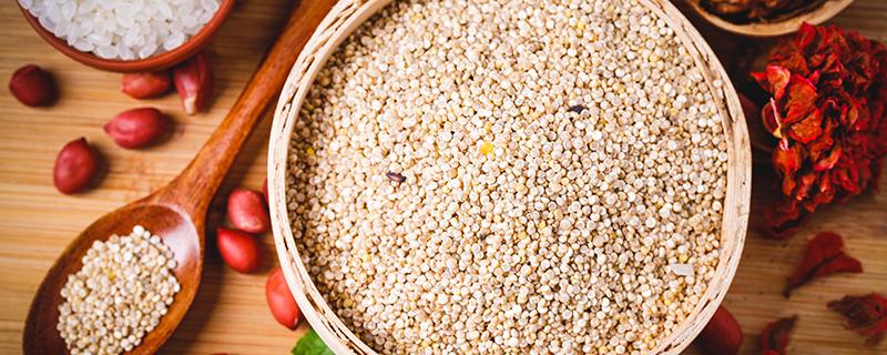 藜麦为什么要泡 藜麦泡了一晚上能吃吗